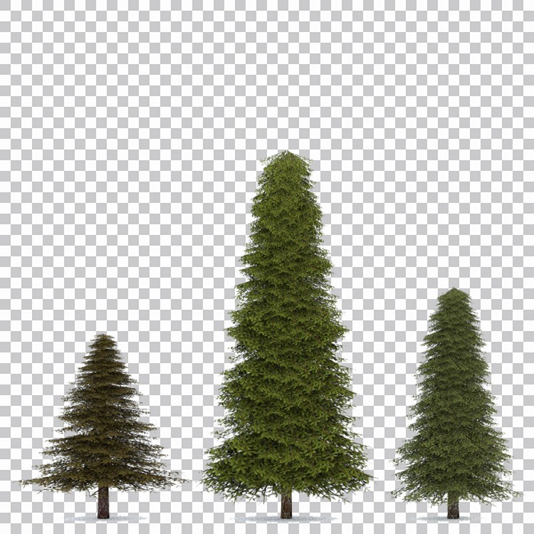 Grupo De Árvores De Natal Imagens Png Baixar