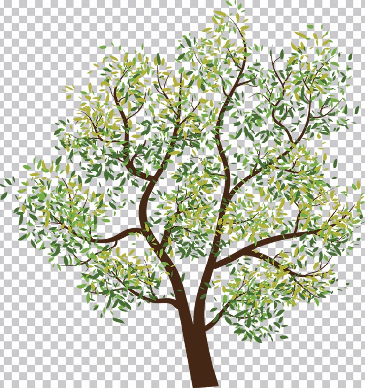 Nova Árvore Com Folhas Verdes Png Imagens