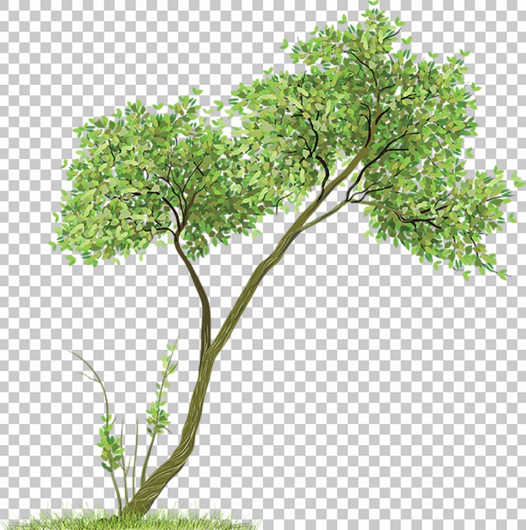 Plano De Fundo De Uma Árvore De Plantas Imagens Png