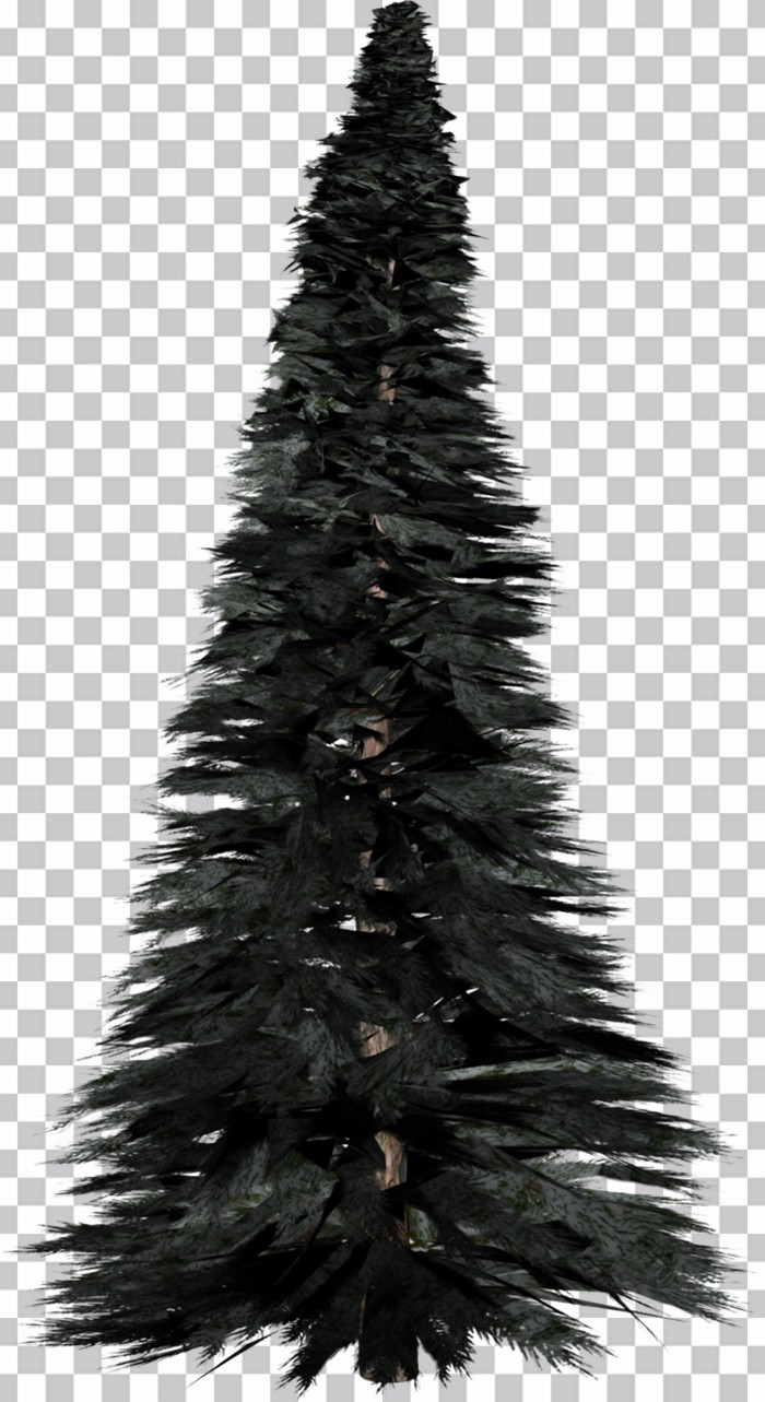Uma Árvore De Natal De Abeto Png Imagens